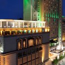 유펠리스 이미지