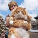 메인 메디컬 이미지