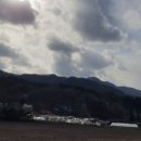 비솔농장 네이버블로그