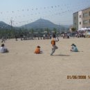 북정초등학교 이미지