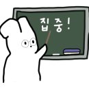 헤이즐넛마켓