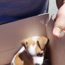 남산강변로 이미지