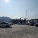 거제시일운면구조라보건진료소 | 거제 섬 내도 동백꽃 현황