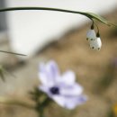 프라임홀 이미지