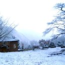 숲속작은나라 이미지