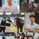 후후브로 이미지