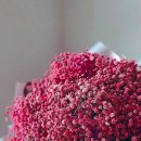 행복출발 이미지