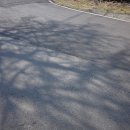 창흥동해수욕장 이미지