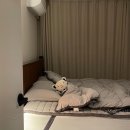 차의계절 | [대전광역시 여기저기] 대전여행코스 추천🙌 - 차의계절 애프터눈티 후기❣️