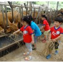 정우목장 이미지