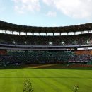 고성군 야구장 이미지