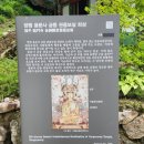 경기도 양평 가볼만한 곳 ~ 용문산 &amp; 용문사 트래킹