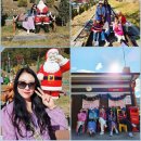 봉화춘양시장(춘양시장) | 봉화 당일 여행 코스 (분천역 산타마을, 국립백두대간수목원, 억지춘양시장) 알차게 다녀온 여행 후기