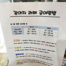 쥬쥬애견