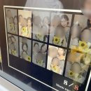 김밥나라&피자마루 | 일상블로그, 노는게 제일 좋아