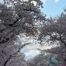 정록 | 경주 쌈밥 맛집 정록쌈밥 후기｜반찬 이렇게 많이 나오는 곳 처음