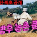 1945년 해방후 농촌 풍경(A country scene after liberation in 1945) 이미지