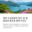 유영건설 | 제천 여름여행 완벽코스! 청풍호 유람선·충주호 크루즈 후기 정리