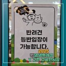 댕댕식당 | [정선/애견동반] 2025 댕댕트레킹 X 고한 구공탄시장 / 식당 후기
