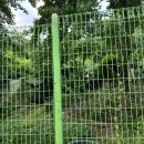 강림그린빌라 이미지