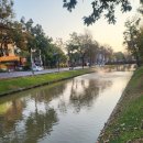 라이크선데이음악학원 | 2026.2.1. 드디어 혼여를 시작해보자.