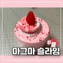 마그마 슬라임 내돈내산 구입 후기