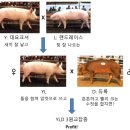 다돼지 - 부산진구 | 다돼지