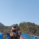 도흥농장 Daum카페