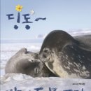 (주)딩동