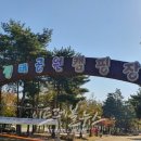 문암생태공원(캠핑장) 이미지