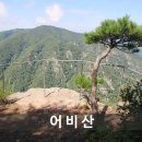 어비산 Daum카페