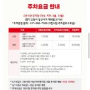 (주)레이지독 | 일산 킨텍스 반려견동반 펫페어 2025메가주 주차 방문 후기
