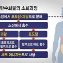 당뇨 합병증 예방법 이미지