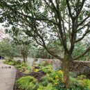 까멜리아 플라워 | 제주 서귀포가볼만한곳 카멜리아힐 핑크뮬리 동백 11월 후기