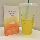 필 수 굿(신방점) | 원더라이너 필 &amp; 에스컷 내돈내산 후기 다이어트템으로 굿