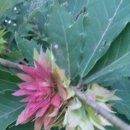 과천역 5번 출구 이미지