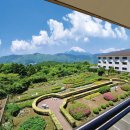 그린프라자 이미지