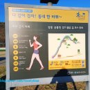 장흥생활체육공원 축구장 이미지