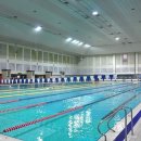 탄천종합운동장 (스포츠센터) 이미지