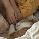 헤이데이 크로스핏 이미지