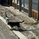 용동면주민센터 이미지