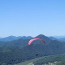 열정태권도 이미지