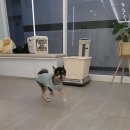 소원동물병원 이미지