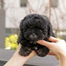 남구-045 이미지