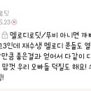 포포팬 걸 Daum카페
