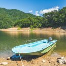 생태터널입구 이미지