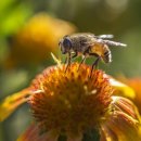 신평2동 행정복지센터 이미지