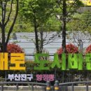 남문구사거리 이미지