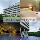 세븐일레븐서귀포엠스테이점 | 제주 히든클리프 호텔 & 네이쳐 서귀포 중문 근처 숲속뷰 수영장 내돈내산 솔직 후기