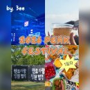 일름 | 2026 피크페스티벌 토요일 후기: 주차의 신과 함께라면 아무것도 두렵지 않아.